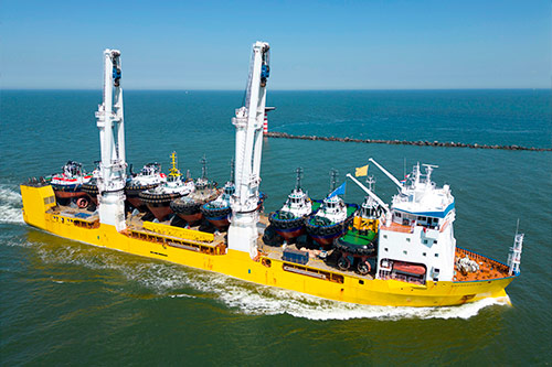 Cargo analysis and technical preparation